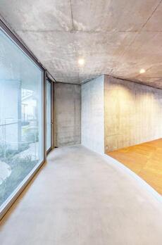 SHINJUKU NEW VILLA 