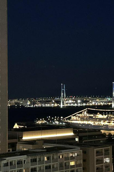 ザ・タワー横浜北仲 