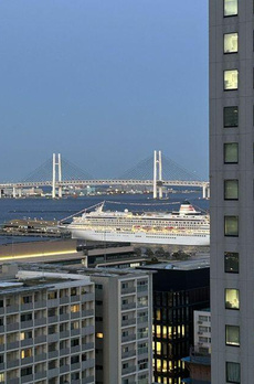 ザ・タワー横浜北仲 