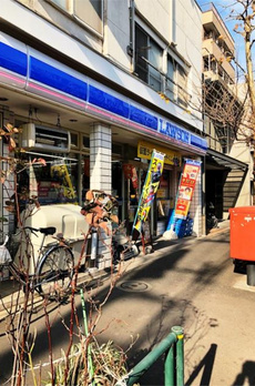 ラヴィン 