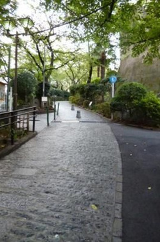 ザ・パークハウス池田山 