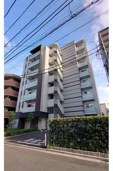 マーシスマルル 