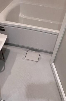 ＣＲＥＡＬｐｒｅｍｉｅｒ芝浦海岸 