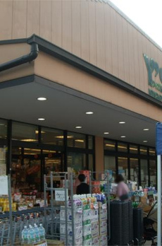 ル　マノアール 