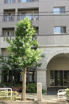 パークホームズ門前仲町リバーイースト 