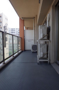 ロイヤルパークス新田 