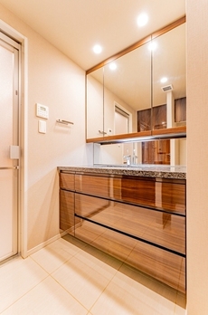 ミレアコート銀座プレミア 