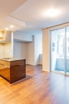 ミレアコート銀座プレミア 