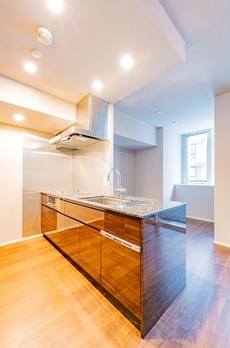 ミレアコート銀座プレミア 