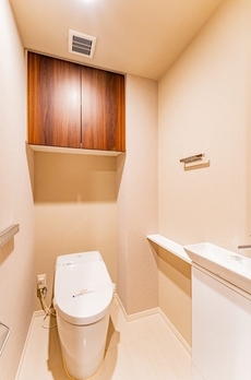 ミレアコート銀座プレミア 