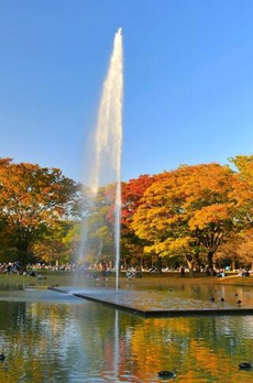 竹庭（チクテイ）　ＹＯＹＯＧＩ－ＫＯＥＮ 