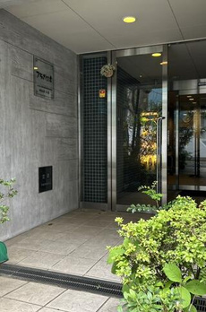 フラッツ三金 