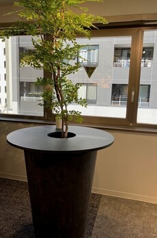 ザパークレックス新川 