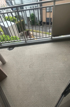 ライオンズタワー赤羽 