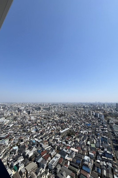 THE TOWER JUJO 