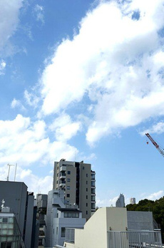 ブランズ渋谷神山町 