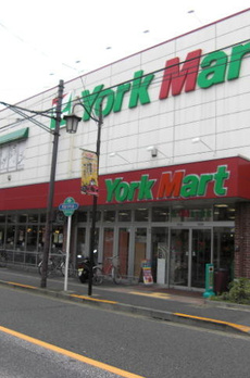 コーナスフロリダ 