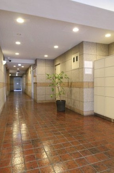 東京ベイビュウ 