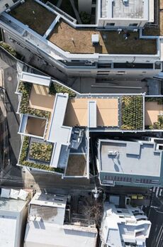 THE DOORS Sarugakucho 