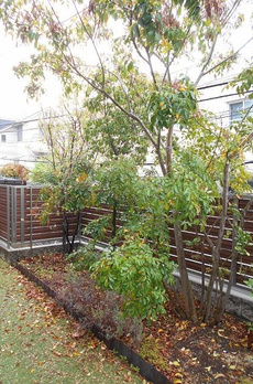 山王３丁目戸建 