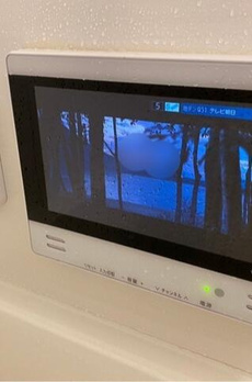 ドムス・スタイル武蔵小山 