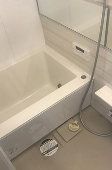 ステラフォート 