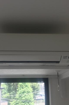 ステラフォート 