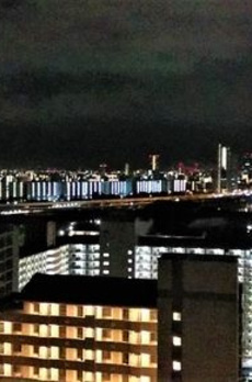 東京フロンティアシティ　パーク＆パークス 