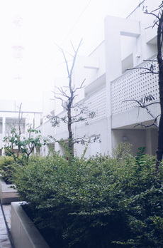 ラフィーヌ銀座 中庭