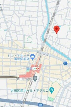 コアオリベ 