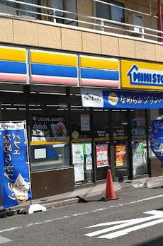 カーサ　ピチカート 
