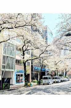八丁堀櫻庵 