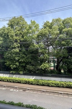 パークハウス白山御殿町 