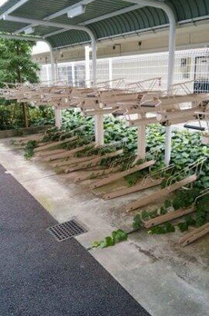 プライムアーバン用賀Ⅱ 
