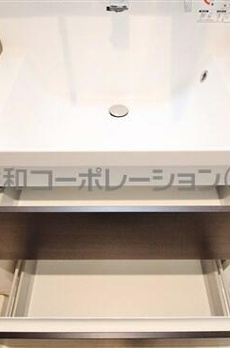 スカイホープ 