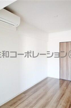 スカイホープ 