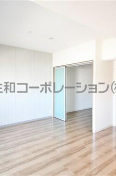 スカイホープ 
