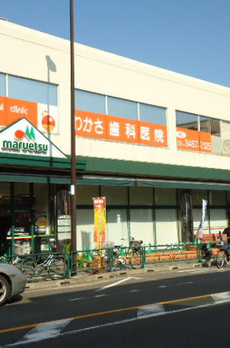 ＷＩＳＴＥＲＩＡ　ＫＯＭＡＺＡＷＡ 