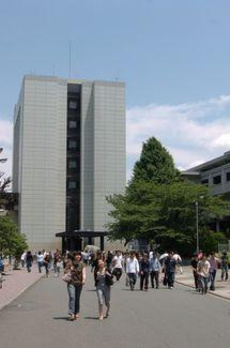 ＷＩＳＴＥＲＩＡ　ＫＯＭＡＺＡＷＡ 