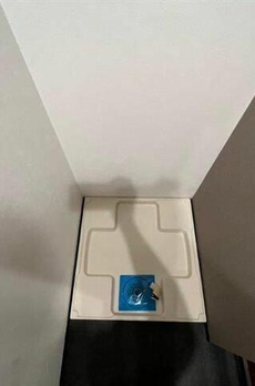 ＡＲＴＥＳＳＩＭＯ　ＳＯＬＯ 