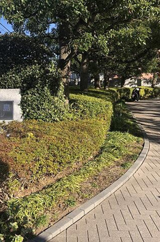 コスモ西大島グランステージ 