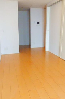 エアライズタワーライズアリーナビル 