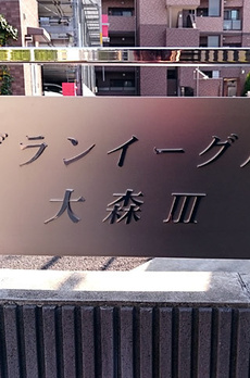 グランイーグル大森Ⅲ 