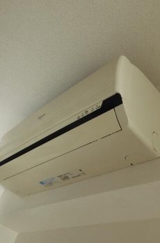 シュールフローレ 