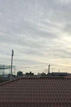 エクセルシオール馬事公苑 