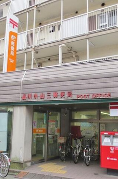 アプリコット 