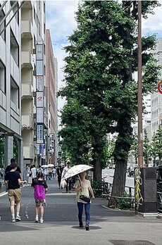 エスペランサ恵比寿 周辺