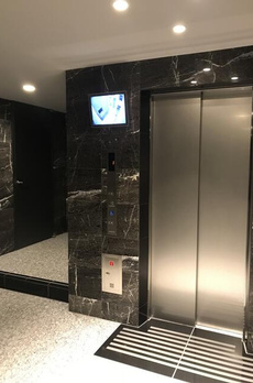 アルテシモグレイス 