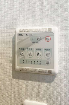 ルミエールラン 