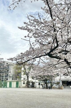 プレール・ドゥーク菊川 